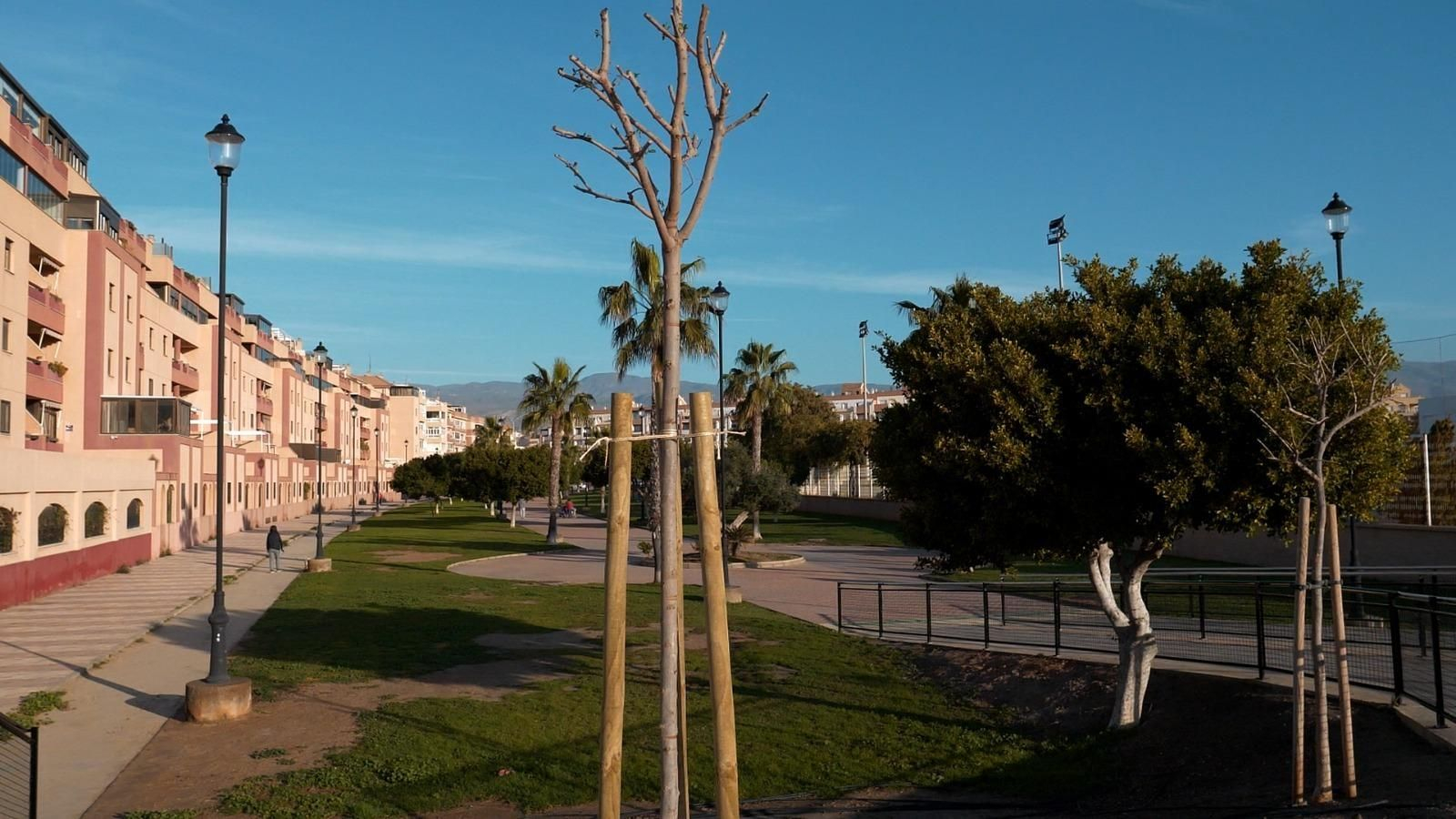 Nuevo arbolado en Roquetas.