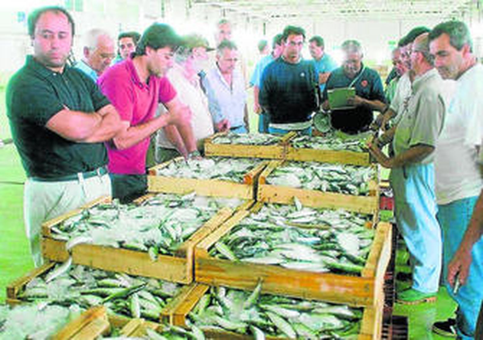 Imagen de archivo de una subasta de pescado en la lonja del puerto de Cádiz.