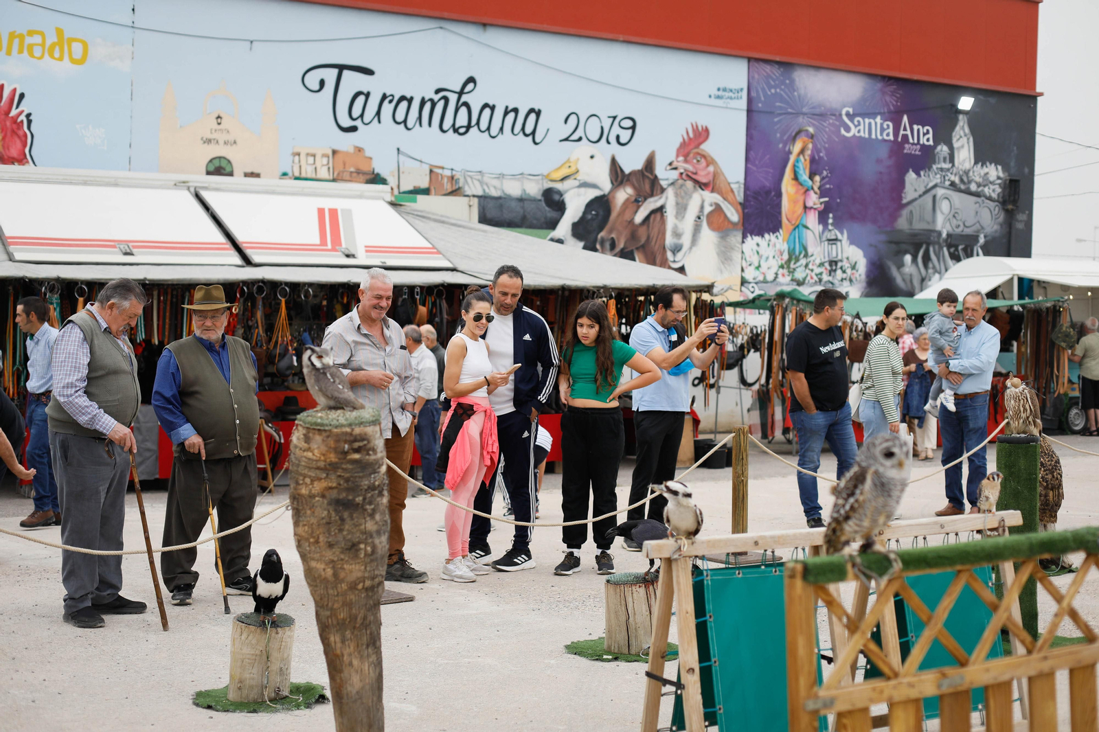 Galería de la Feria  de ganado en Tarambana
