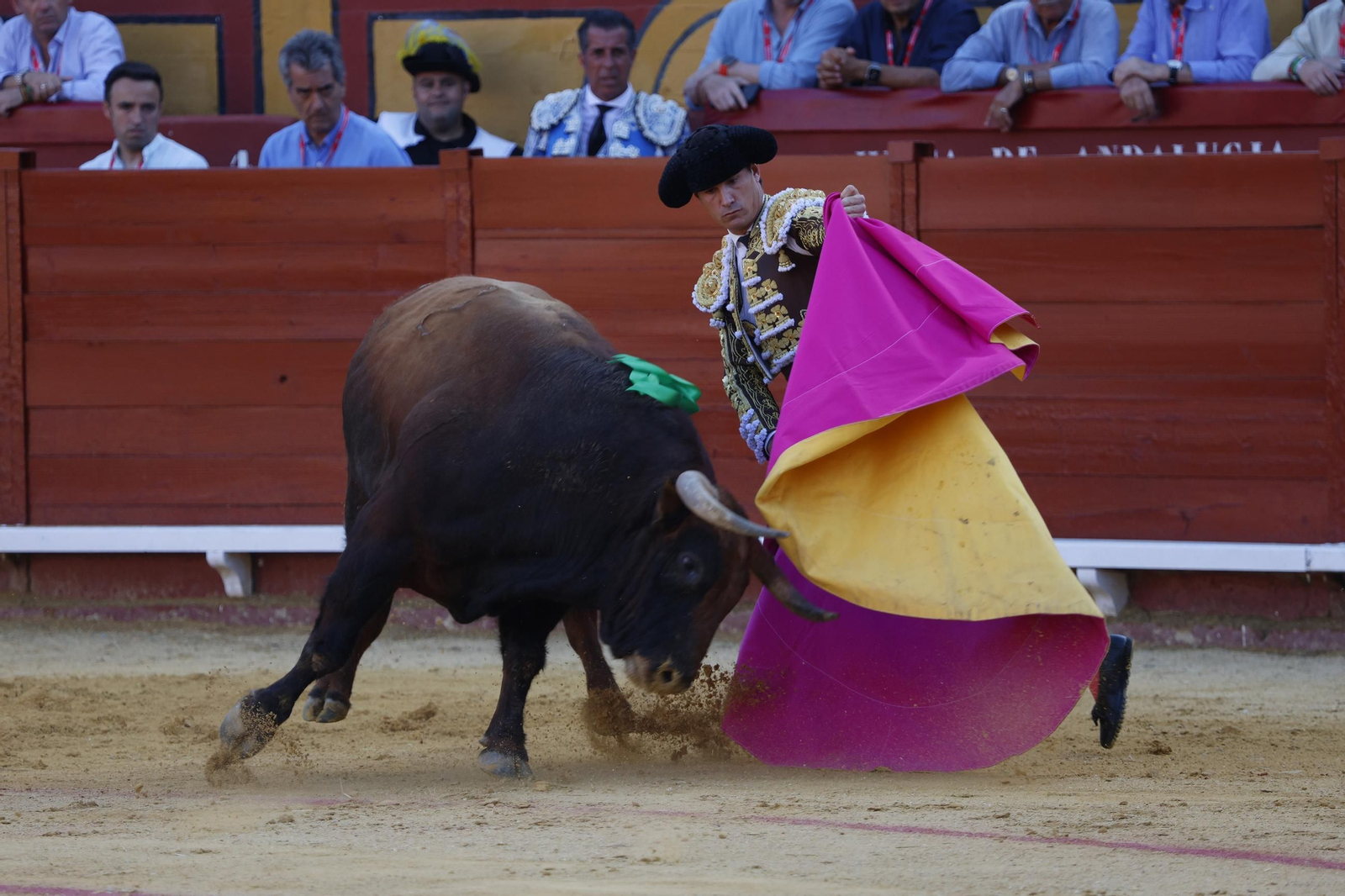 Fotos de Perera, Luque y Galván con toros de Fuente Ymbro en la primera corrida de la Feria de Algeciras 2025