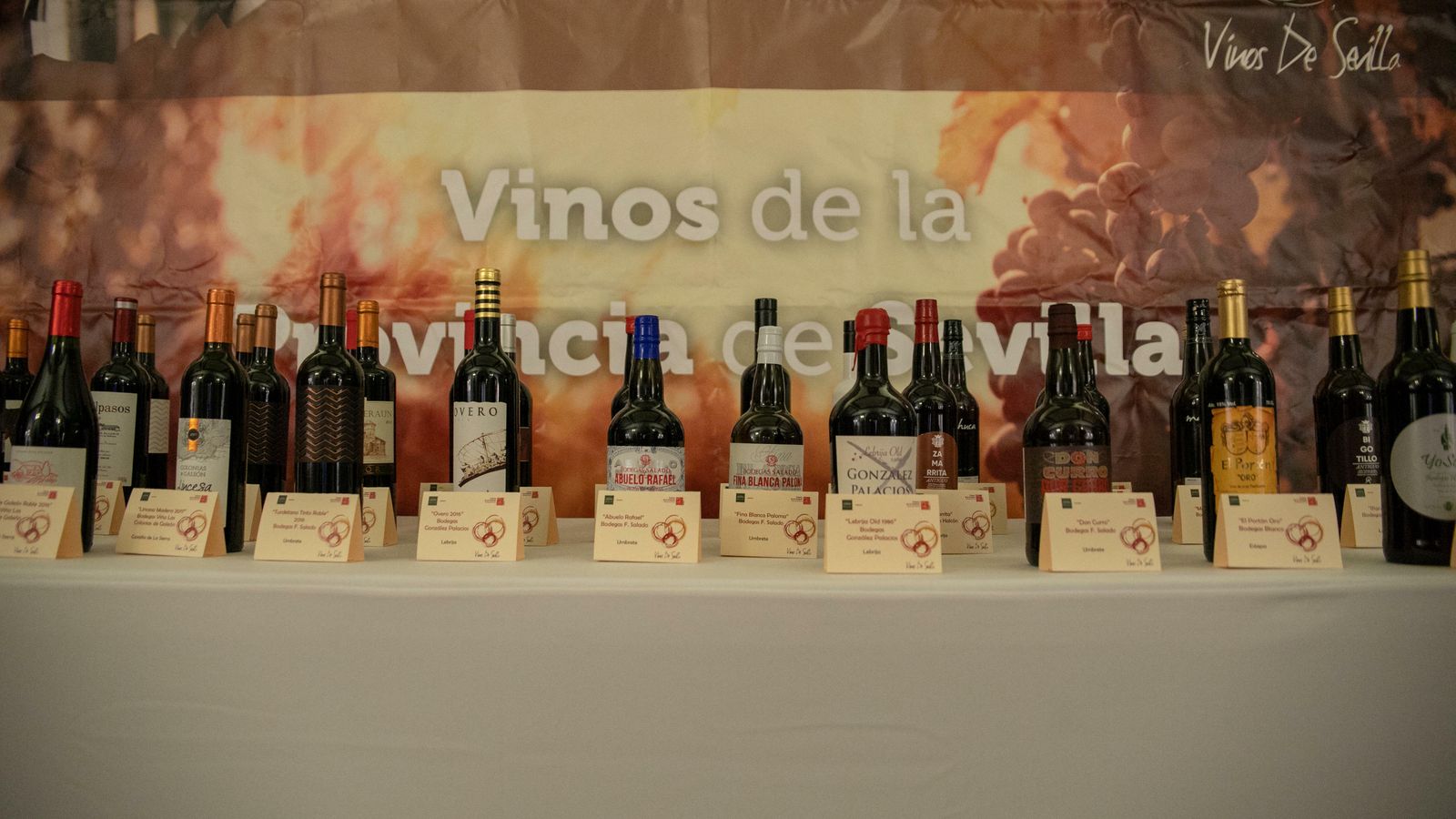 Los mejores vinos y licores de la provincia de Sevilla 2019.