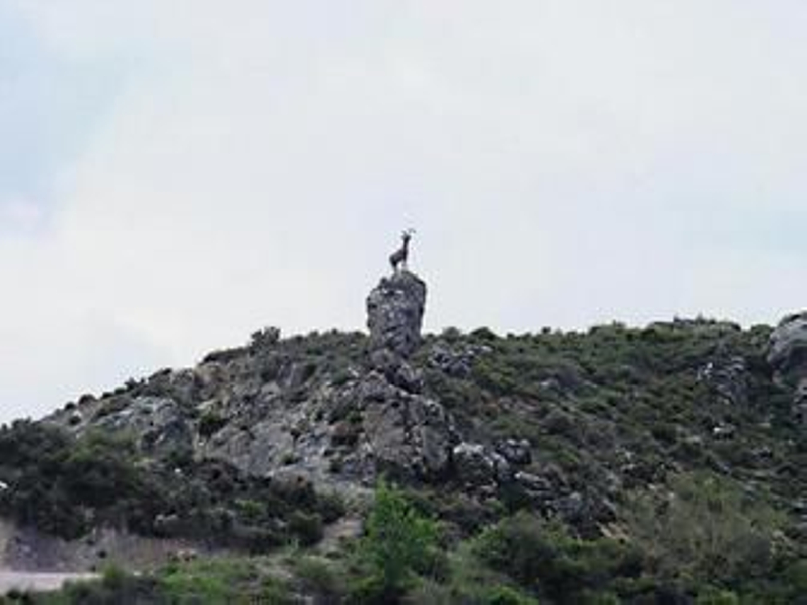 Isabel Morcillo y la Castañera de Los Italianos