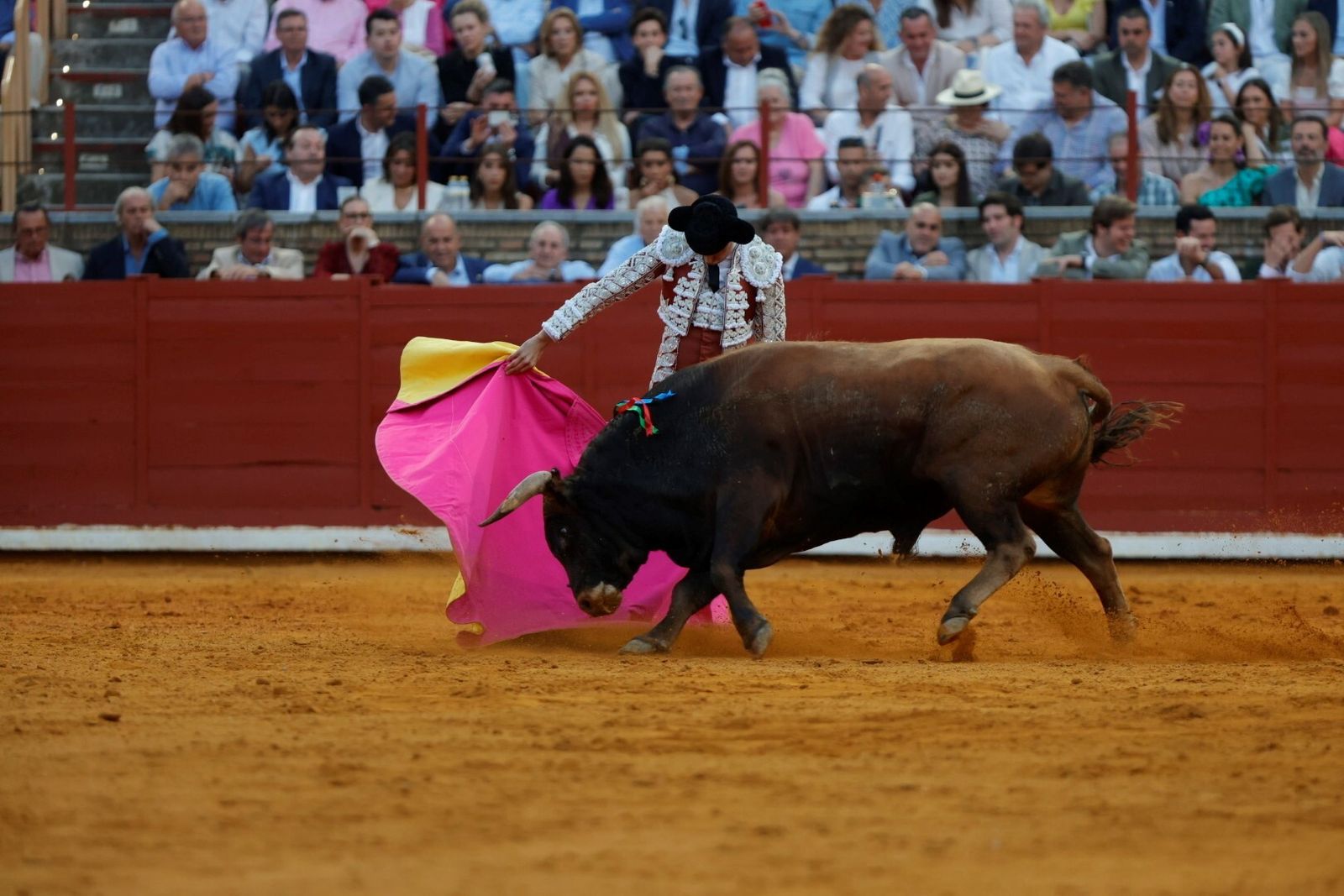 Las mejores fotos de la corrida de Morante, Ortega y Roca Rey en la Feria Taurina de Córdoba