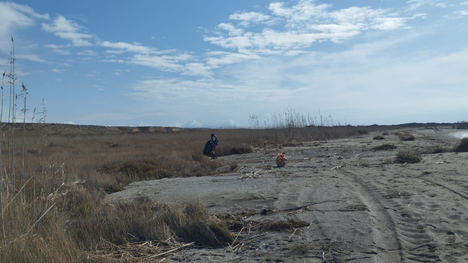 Una veintena de voluntarios limpian playas de El Ejido para retirar 400 kilos de basura