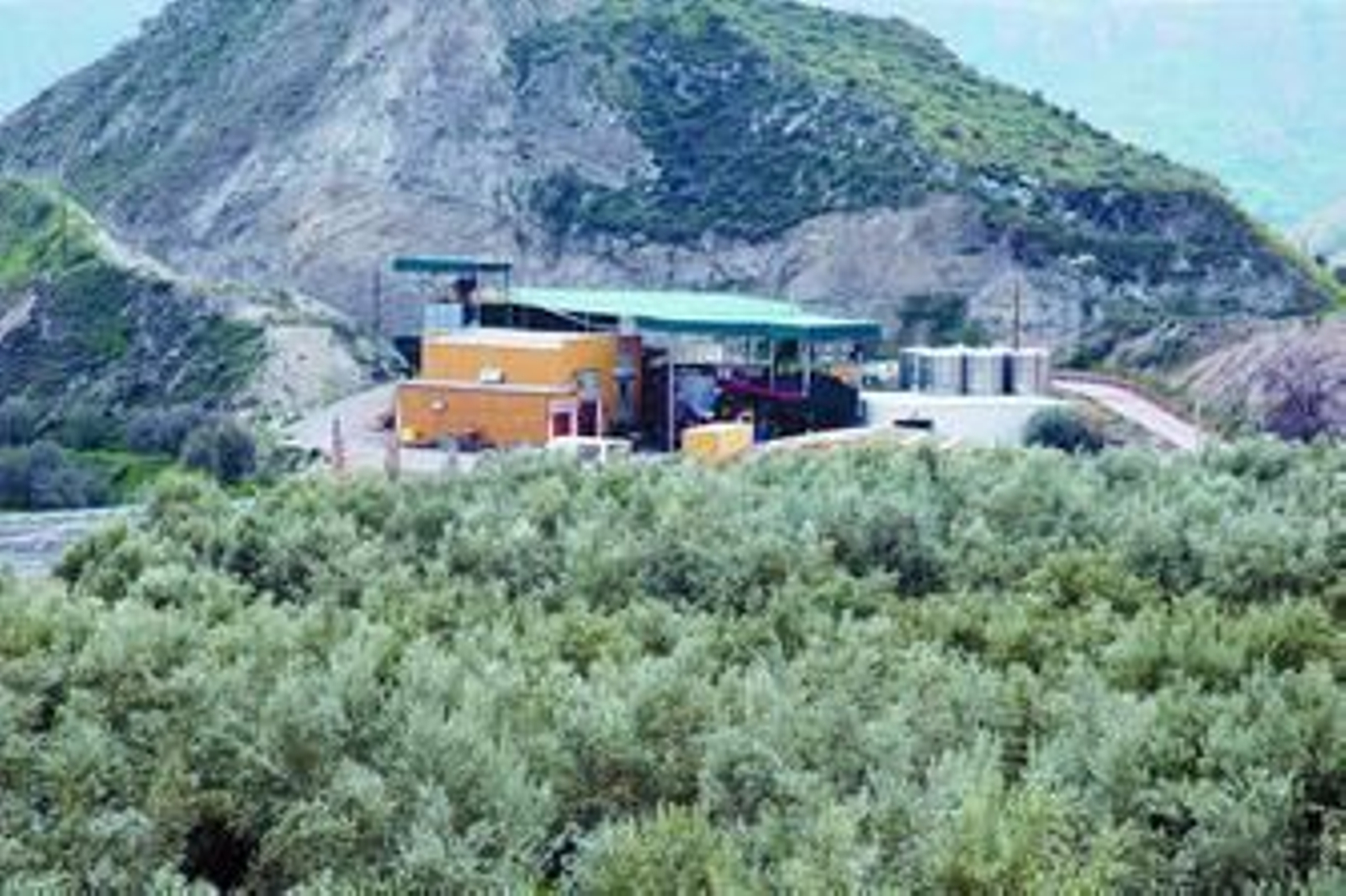 El aceite de Canjáyar, fruto de esfuerzo rural