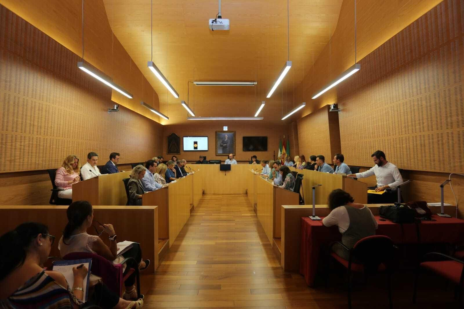 Una imagen de archivo del pleno muninicipal.