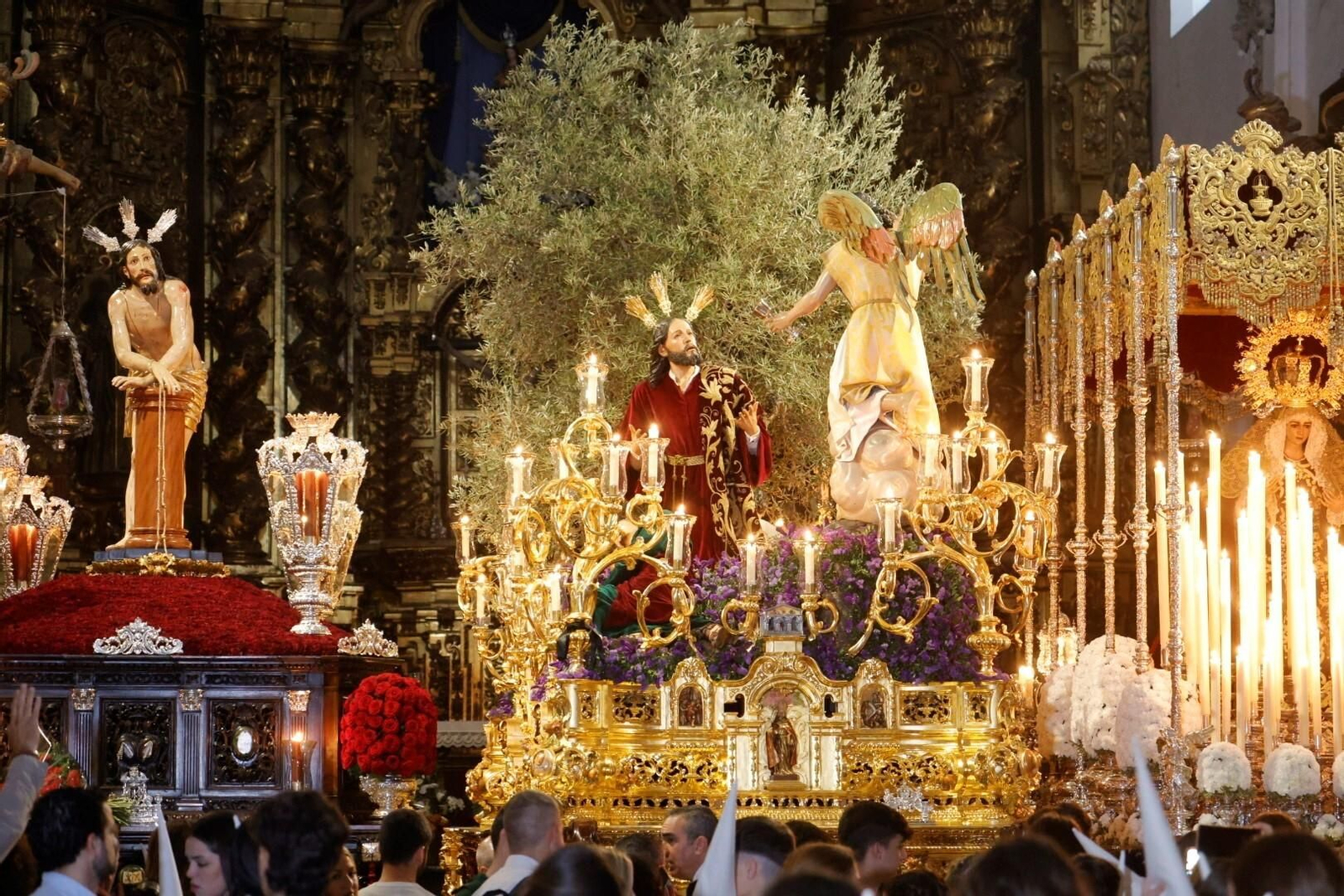 Intimidad en San Francisco con el Huerto en este Domingo de Ramos en Córdoba, en imágenes