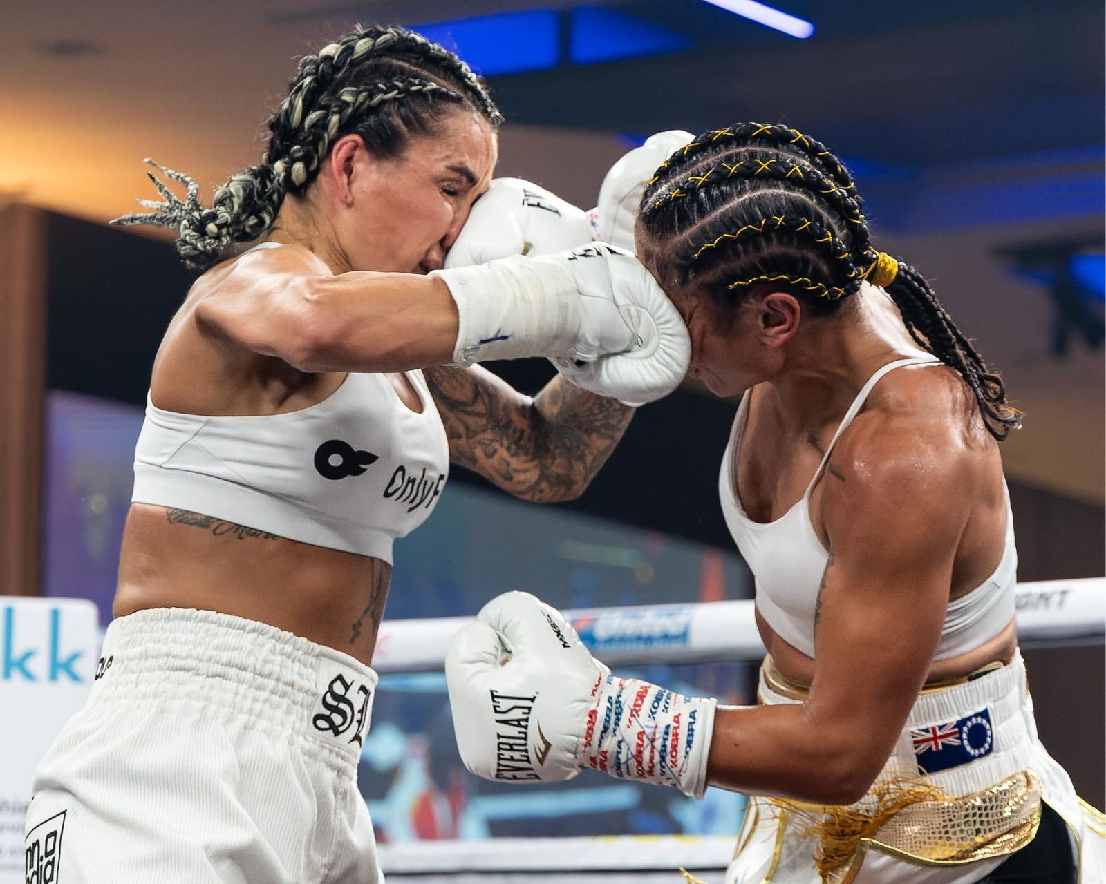 Boxeo | Double Whammy