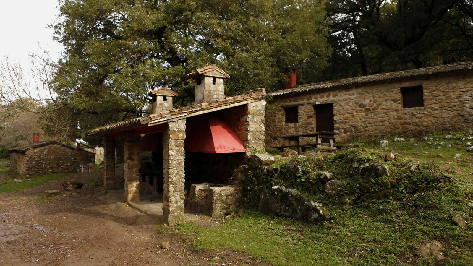 El Despoblado de La Sauceda.