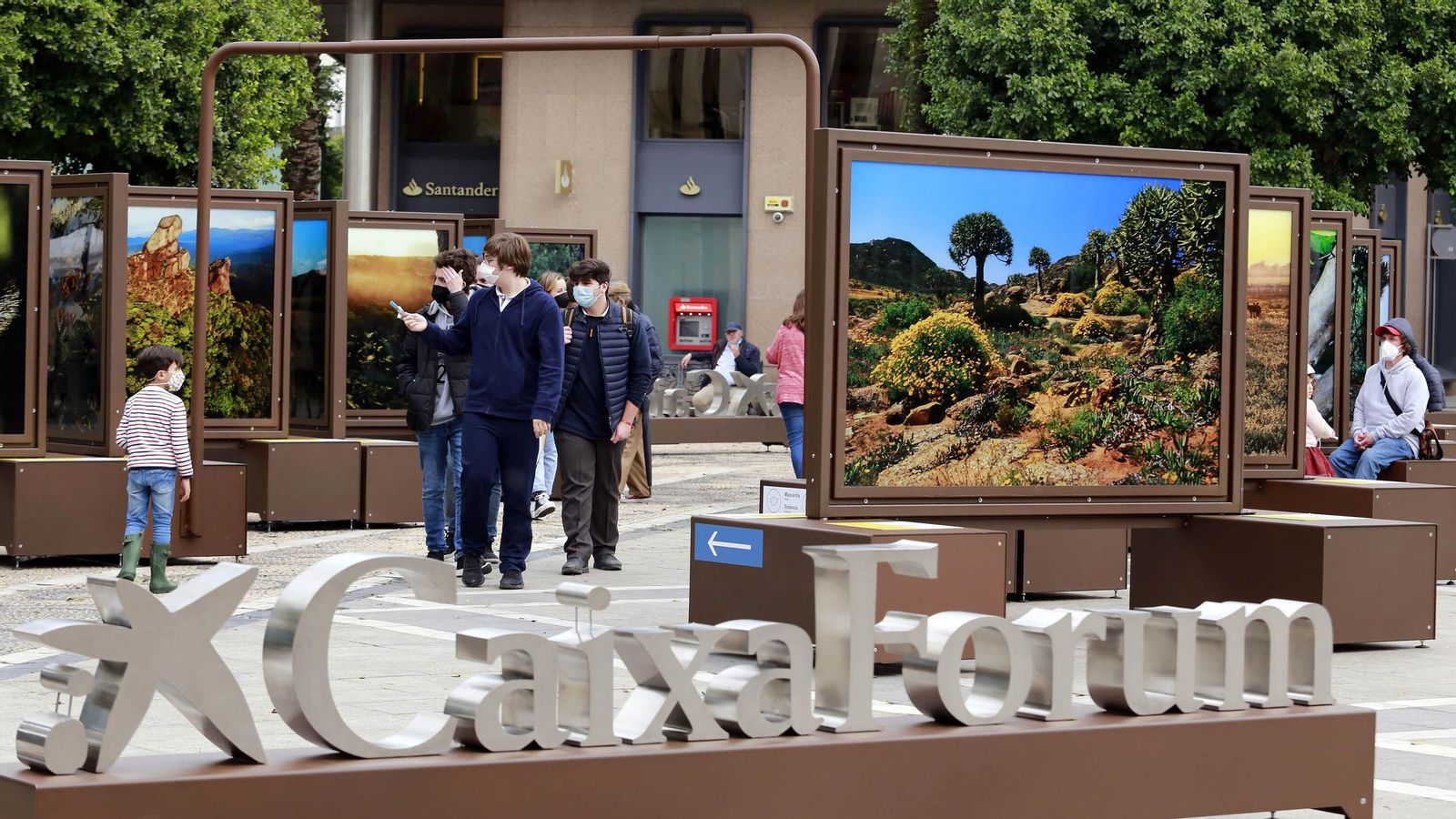 Exposición de 'De Polo a Polo' de The National Geographic en el Arenal