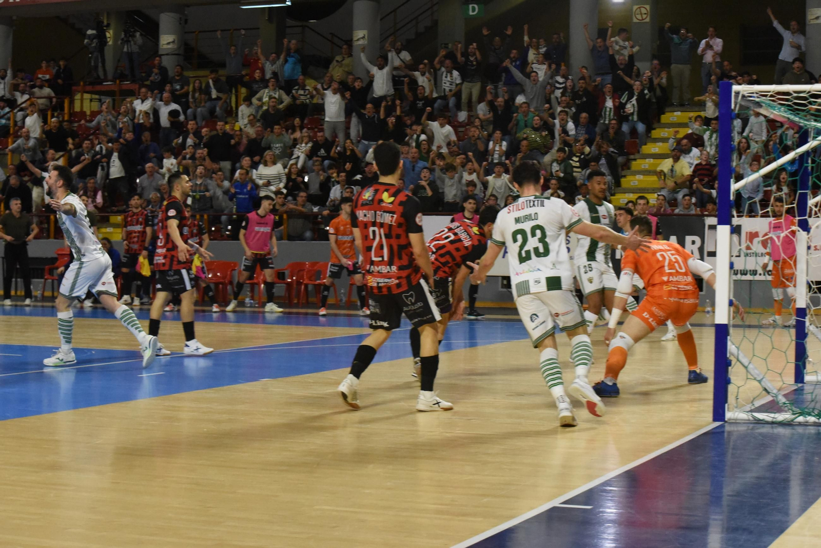 Las mejores fotos del ambiente en Vista Alegre para el Córdoba Futsal - AD Sala 10 Zaragoza