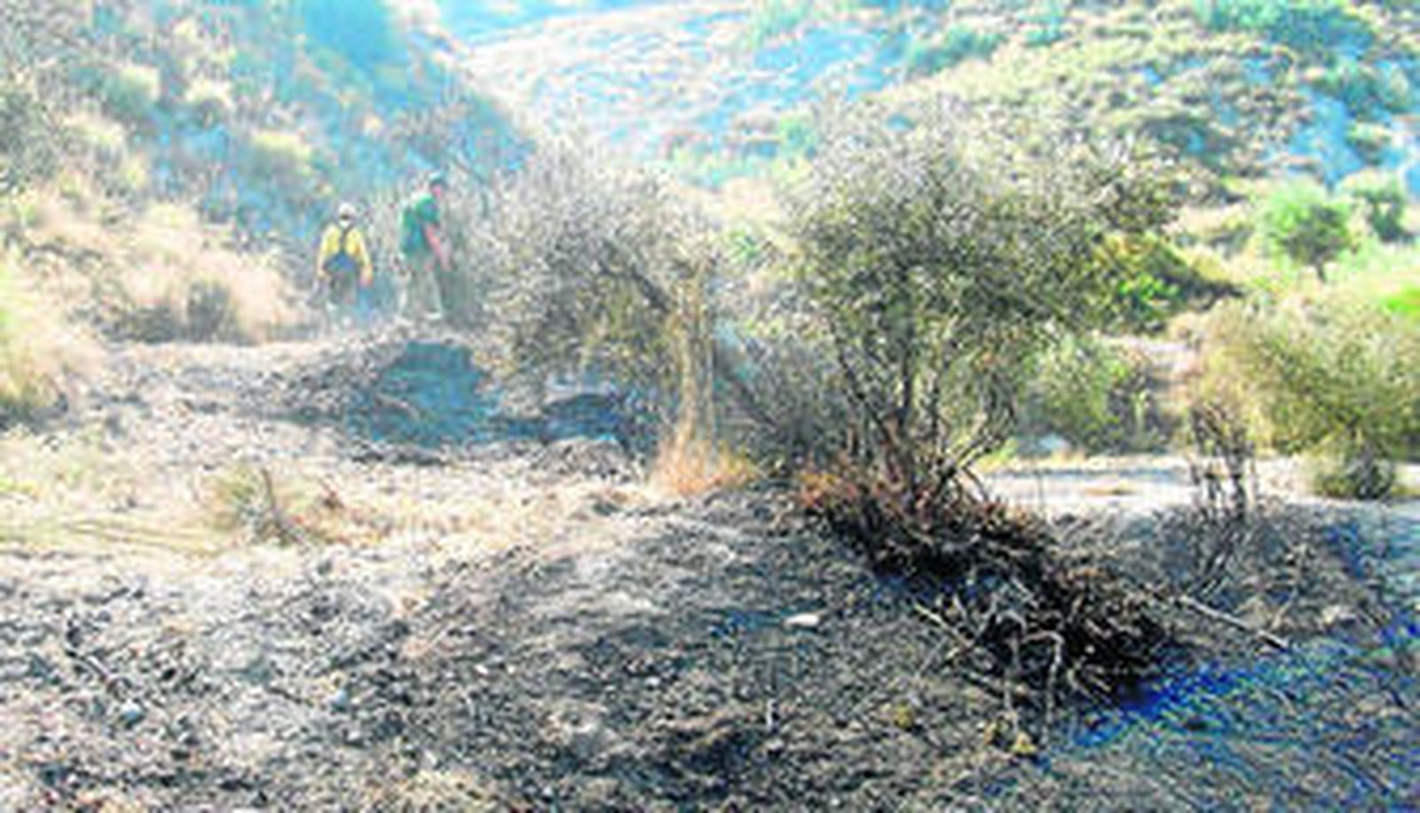 Dos efectivos del Infoca durante las labores de extinción del incendio forestal.