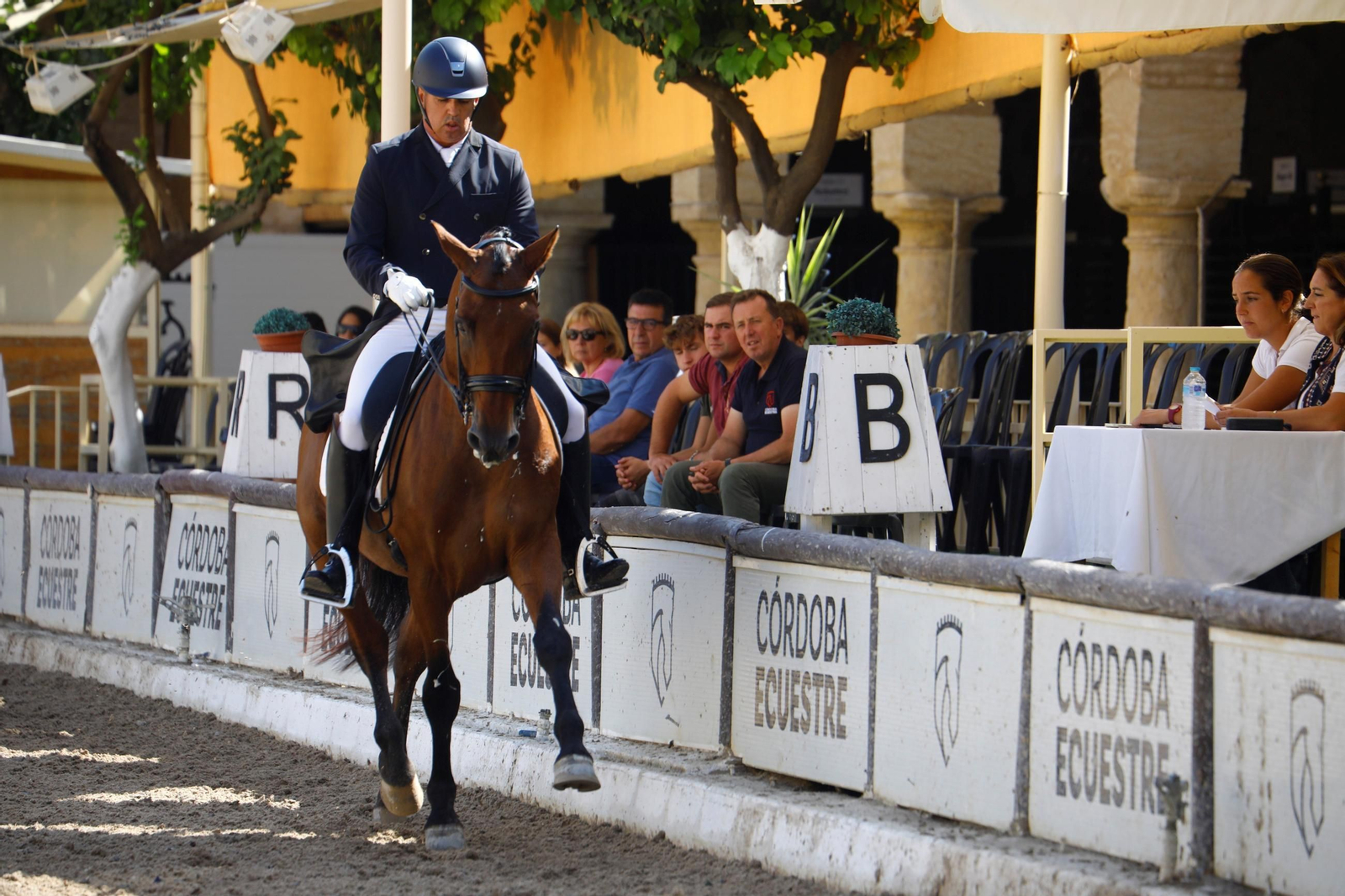 El concurso nacional de Doma Clásica en las Caballerizas Reales de Córdoba