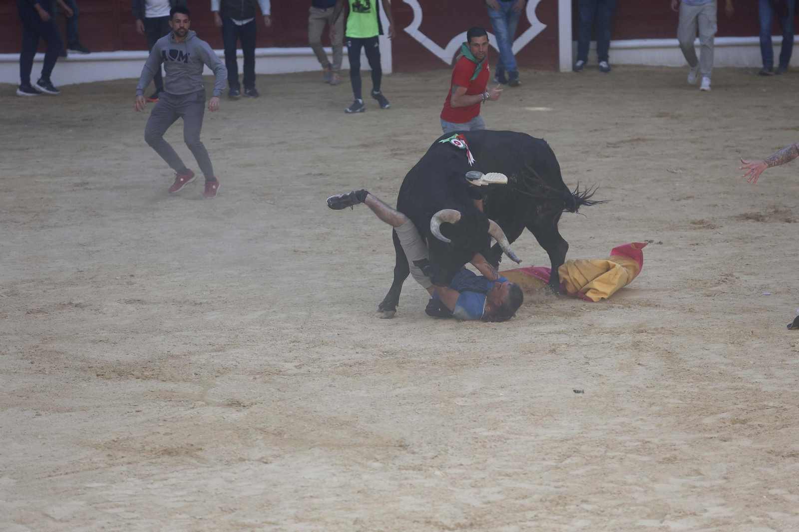 Fotos de los encierros del sábado del Toro Embolao en Los Barrios