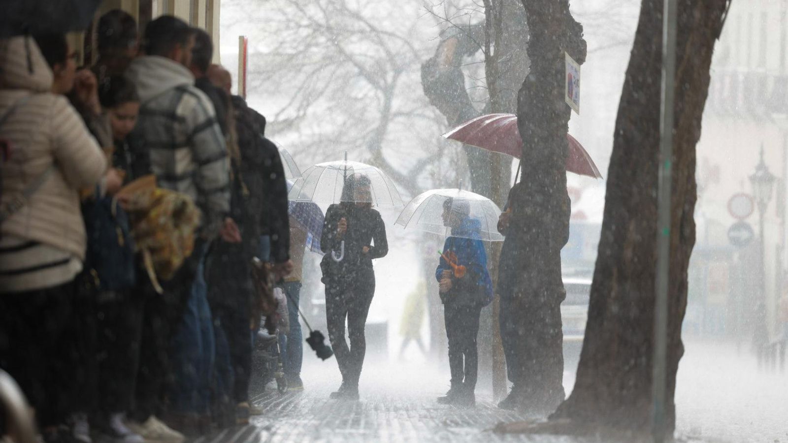 Las mejores imágenes del primer domingo de Carnaval de Cádiz
