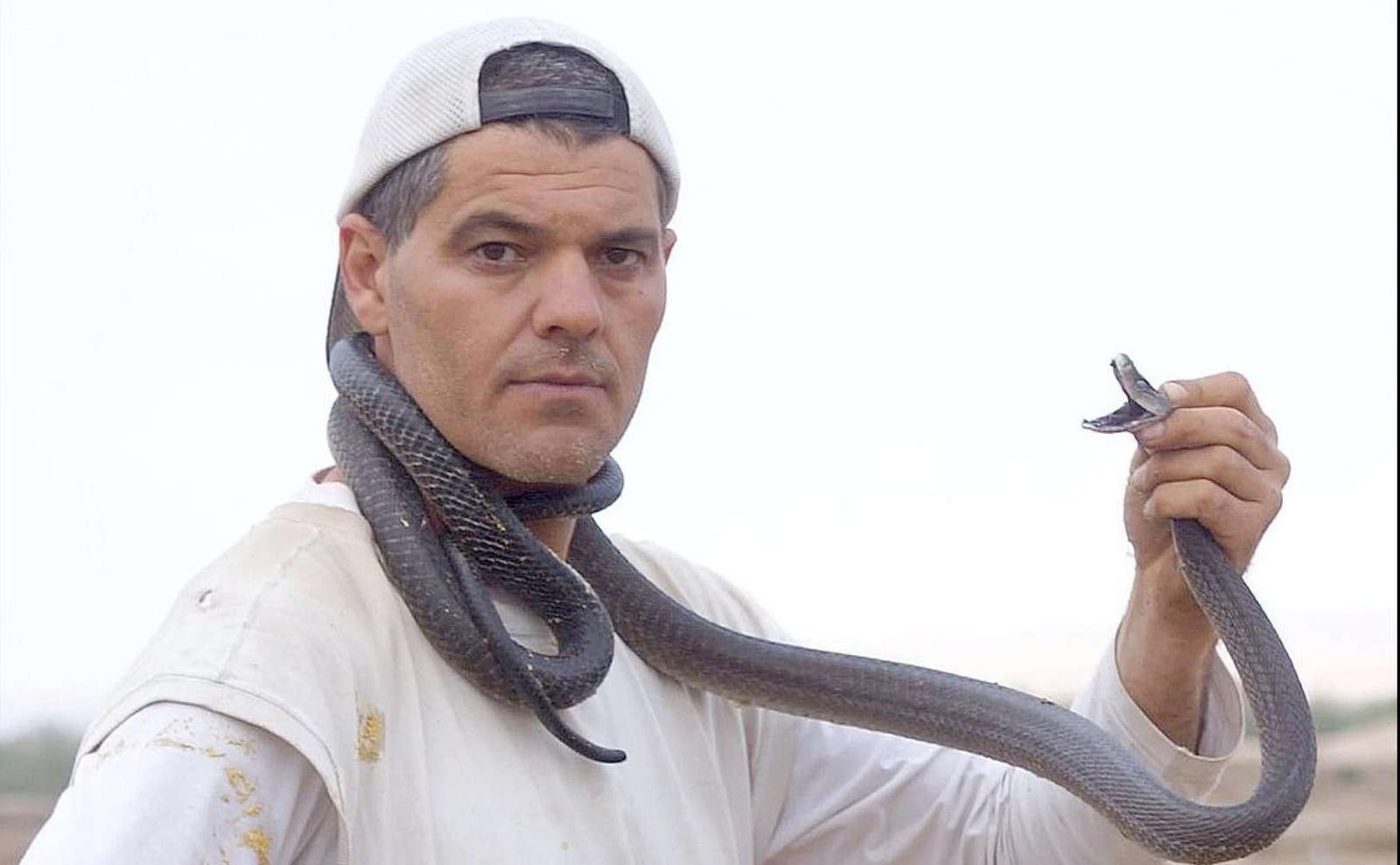 Los mejores momentos de Frank de la Jungla con animales en televisión