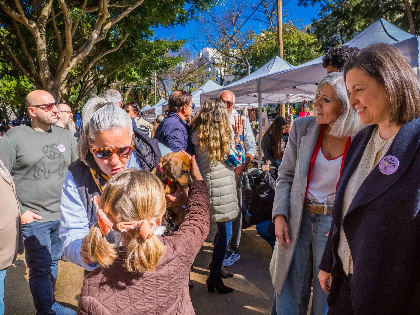 Las imágenes de San Antón 2025 en San Fernando
