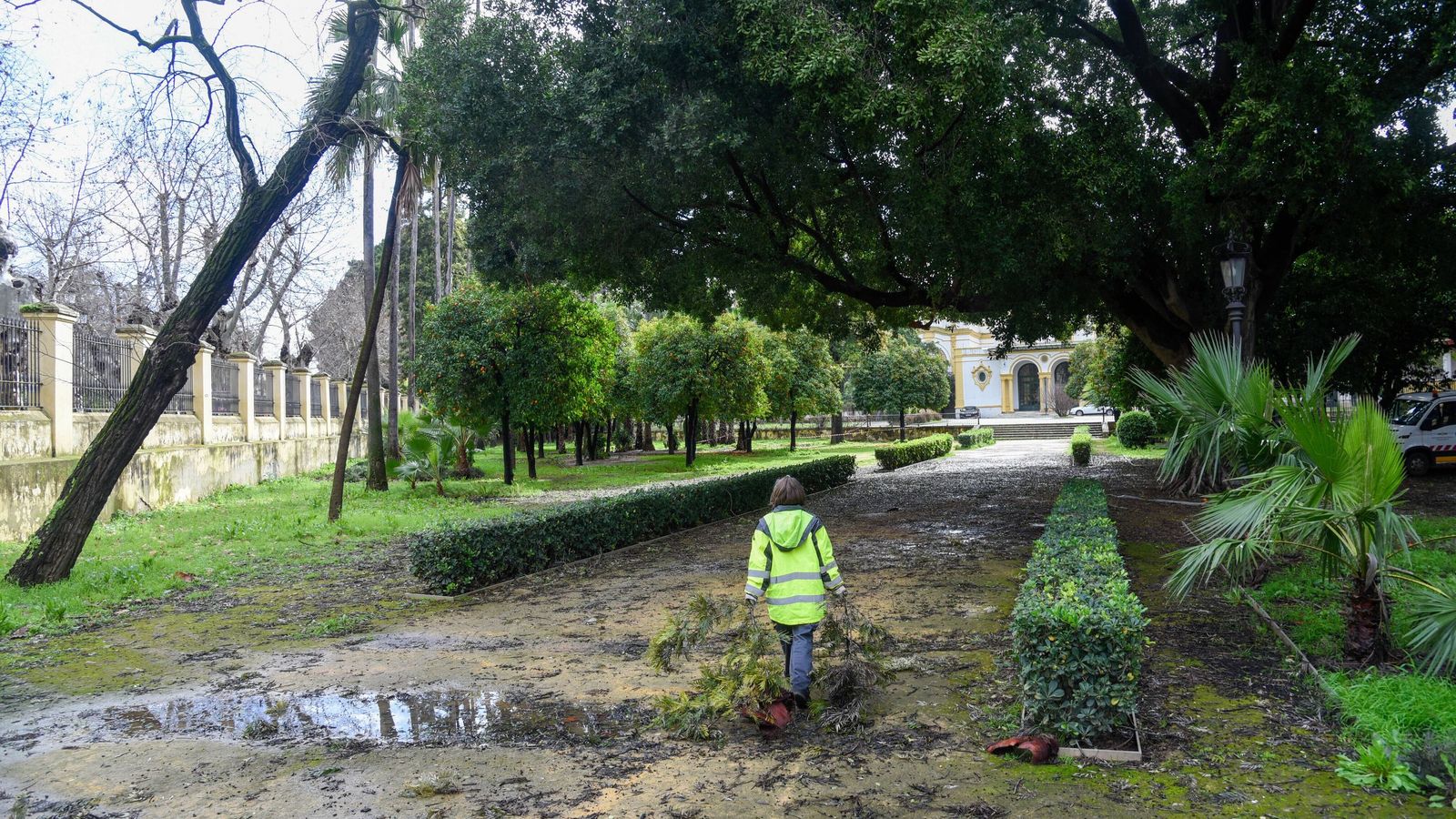 Estado actual de los jardines de Montpensier