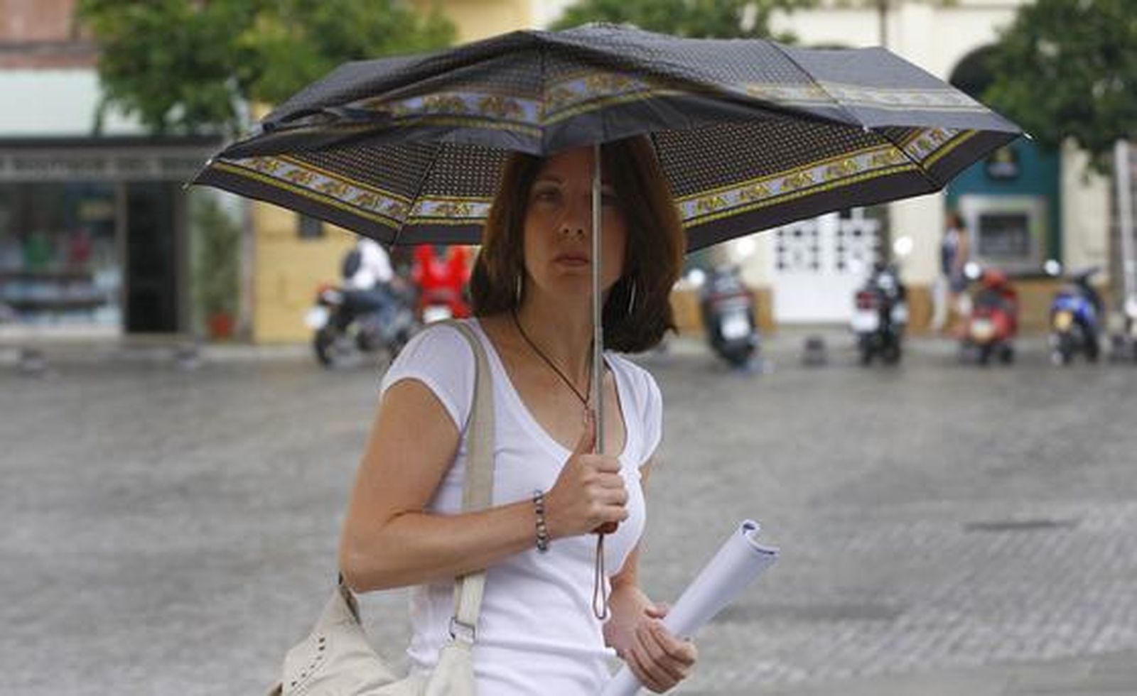 Las lluvias han acompañado a los sevillanos durante todo el día. 

Foto: Diario de Sevilla