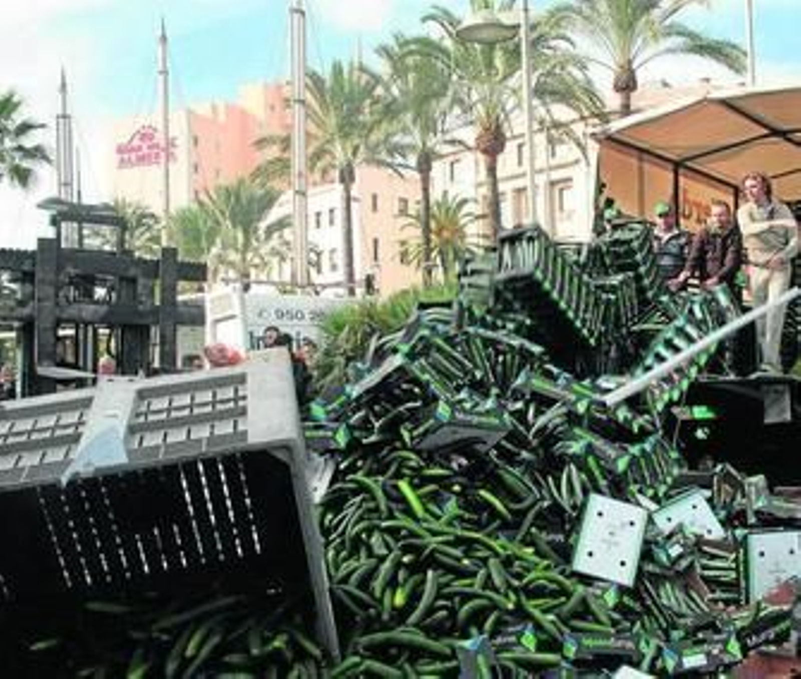 Kilos al suelo por la crisis de precios que vive el sector. Kilos al suelo por la crisis de precios que vive el sector.