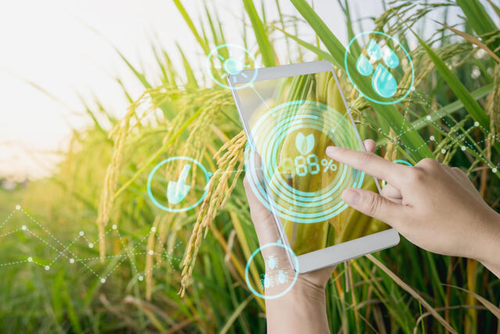 La fibra ultrarrápida es ya una realidad en gran parte de la Andalucía rural.