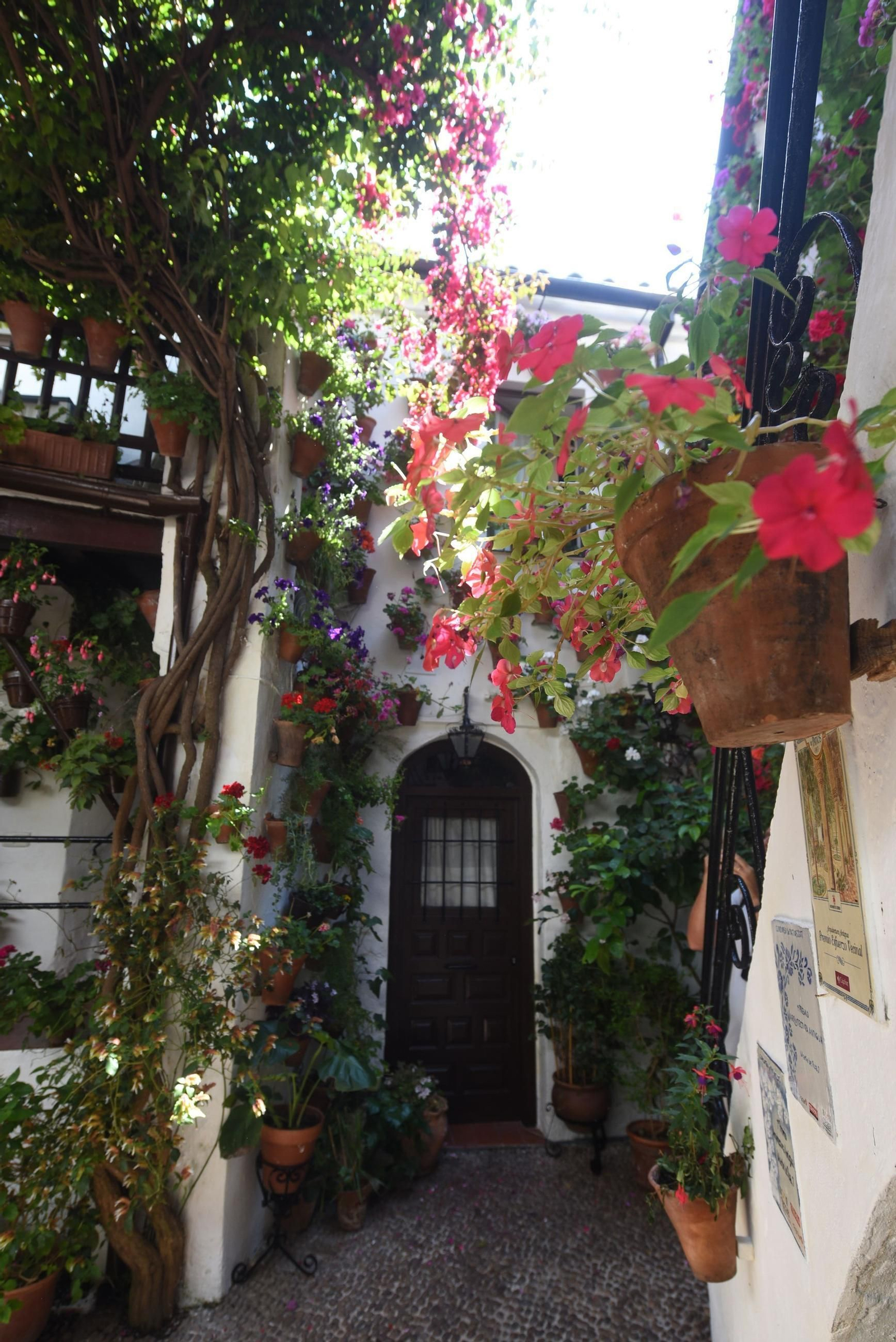 El último sábado de Patios de Córdoba en Alcázar Viejo, en imágenes