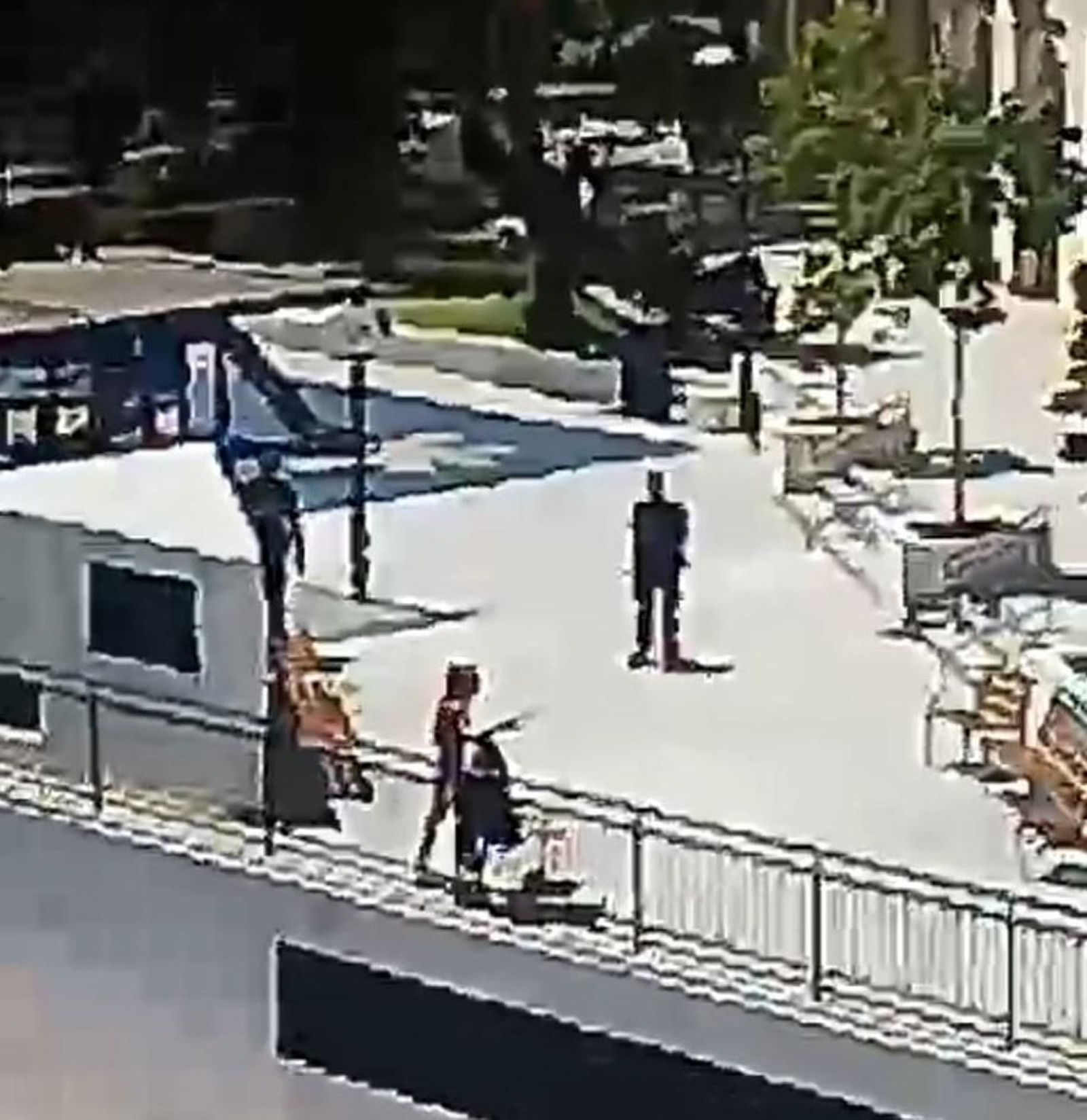 Momento en el que el individuo atacó a policías en Marbella