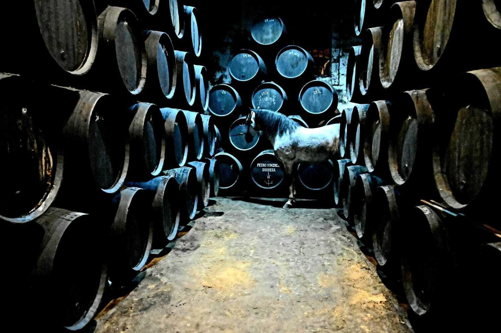 Galería fotográfica del rodaje de 'Siete Jereles'