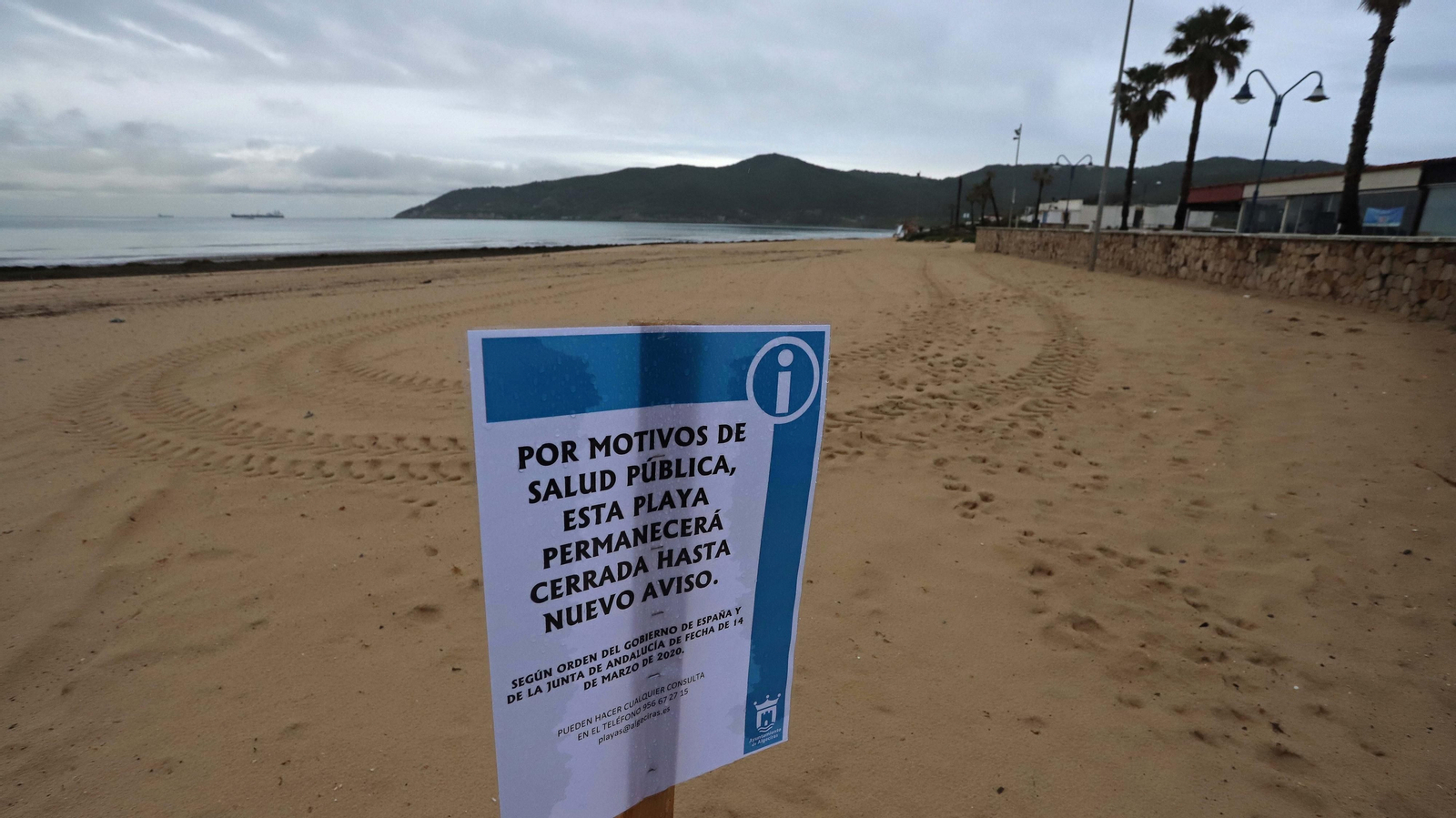 El alga invasora cubre de nuevo la playa de Getares