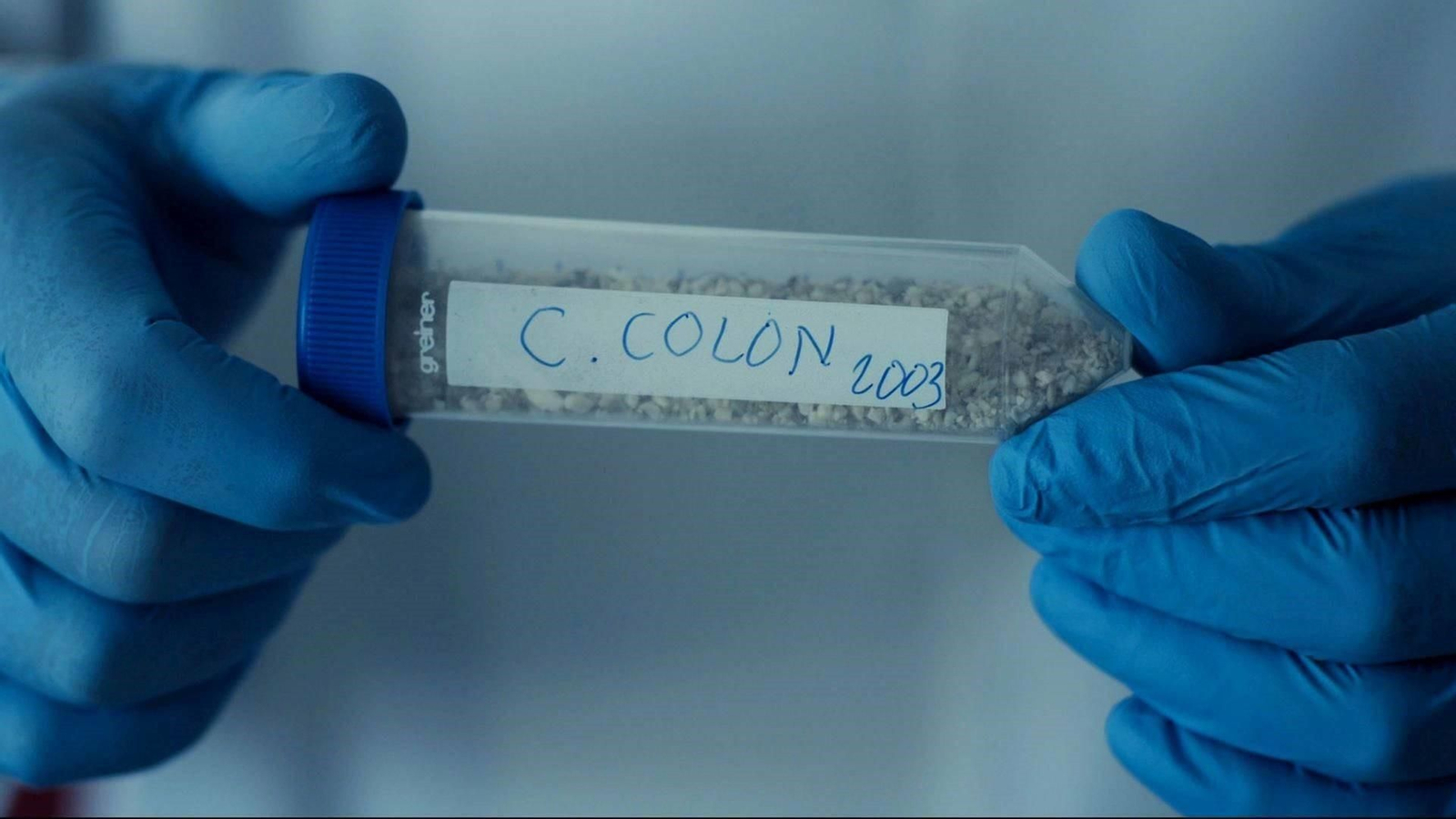 Restos de Colón analizados.