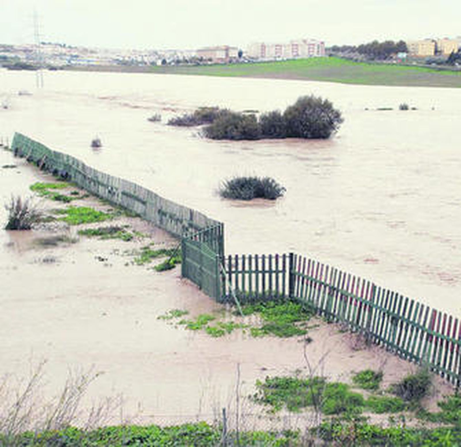 Imagen de los efectos que origina la crecida del río.