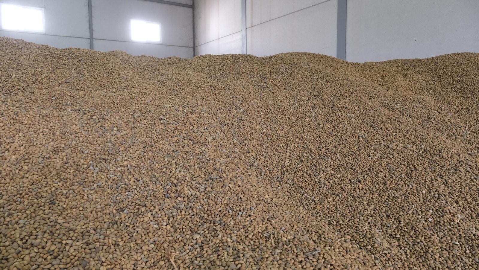 Imágenes de la almendra ecológica de Chirivel