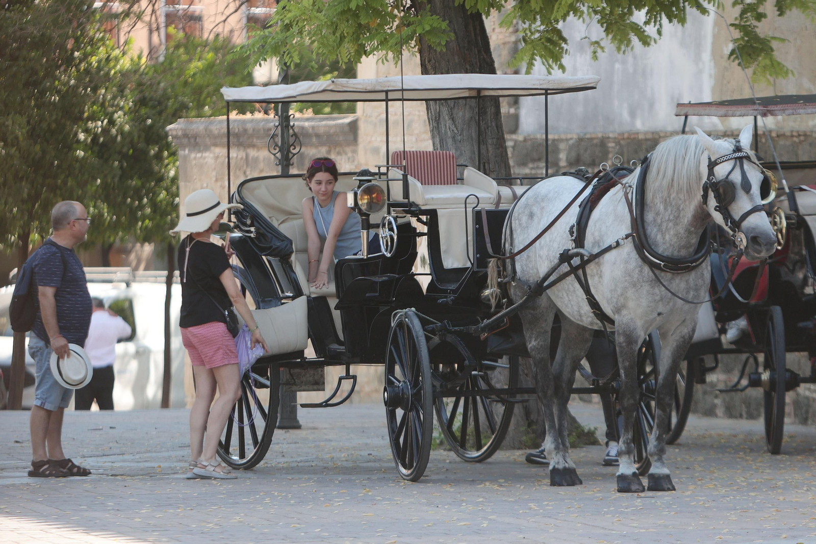 Turistas en coche de caballos en la zona del Alcázar de Jerez.