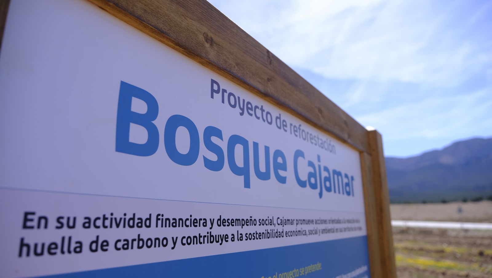 Cajamar pone 'la primera planta' para la reforestación de Sierra María-Los Vélez