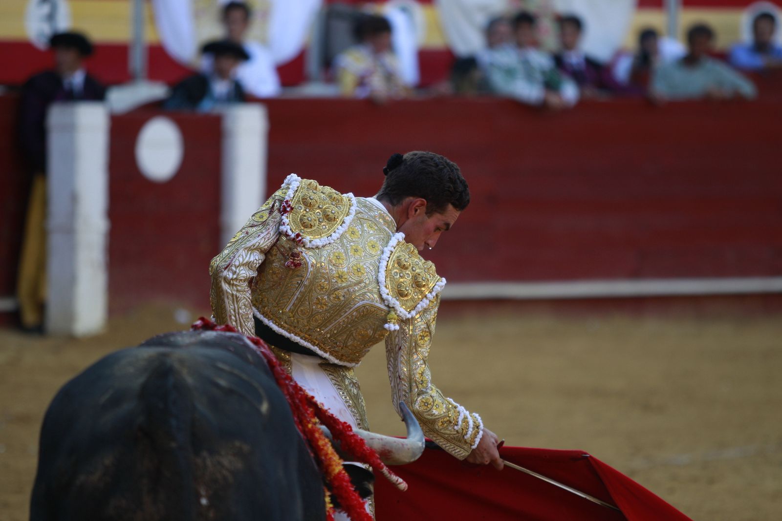 Imágenes de la corrida de toros del jueves en la Feria de Almería 2024