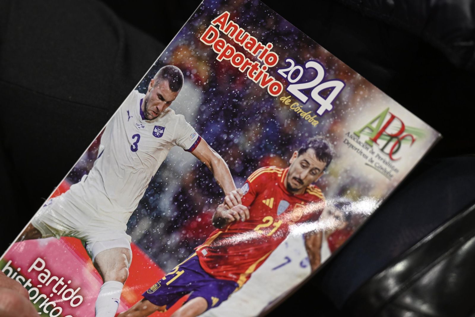 La entrega de los premios de la Asociación de Periodistas Deportivos de Córdoba, en imágenes