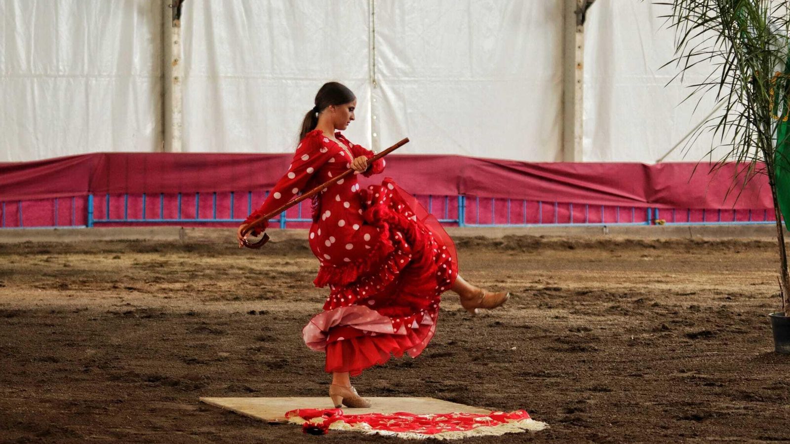 Flamenca bailando.
