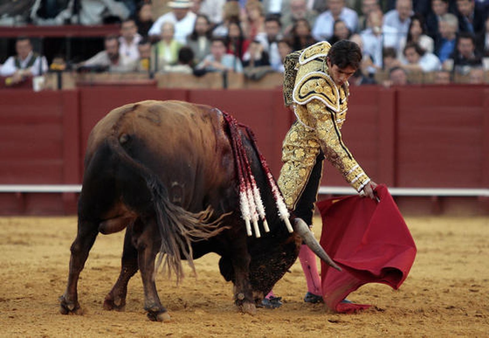 Castella./ Juan Carlos Muñoz