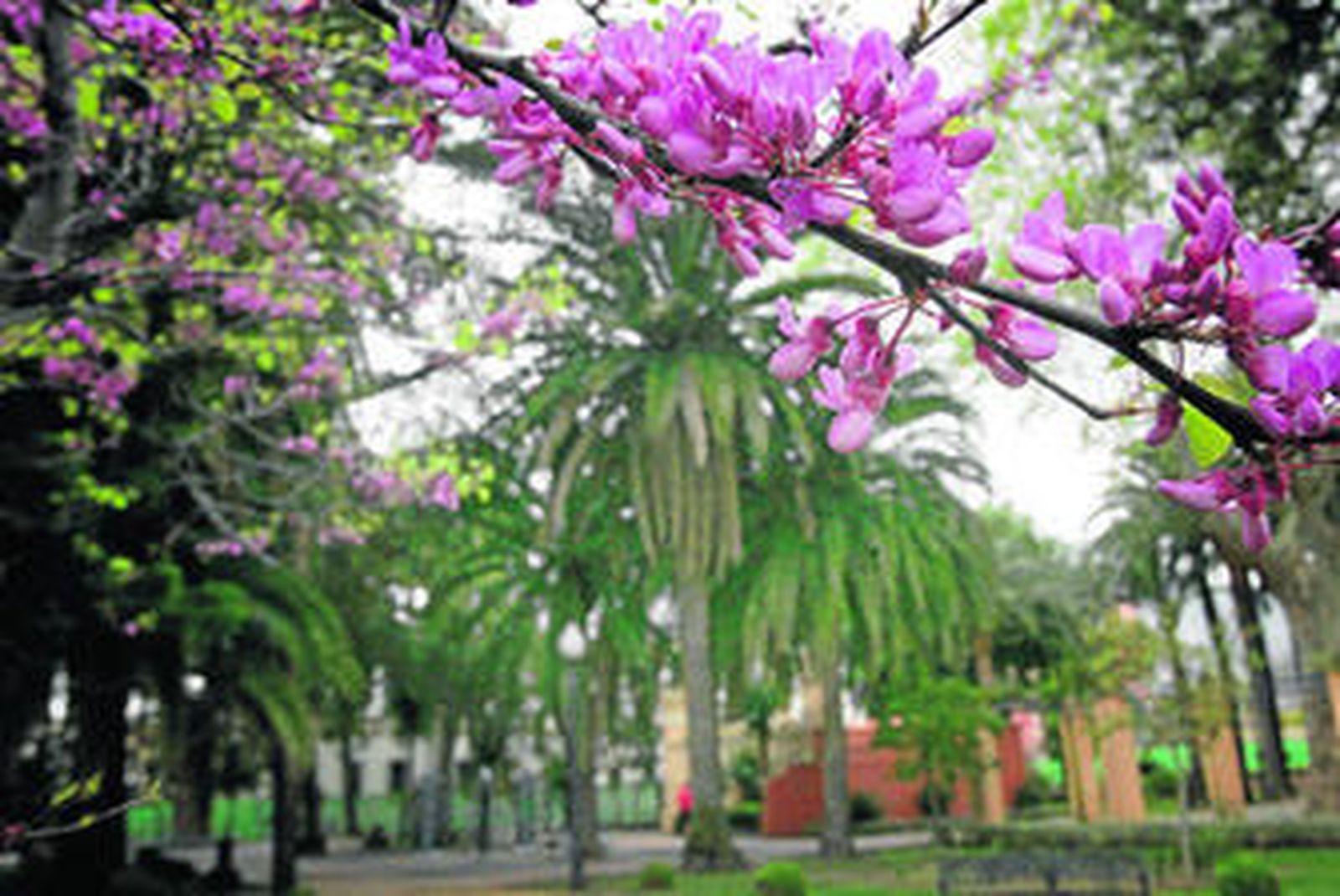 Instantánea parcial de los jardines municipales, una de las zonas verdes existentes en el casco urbano.