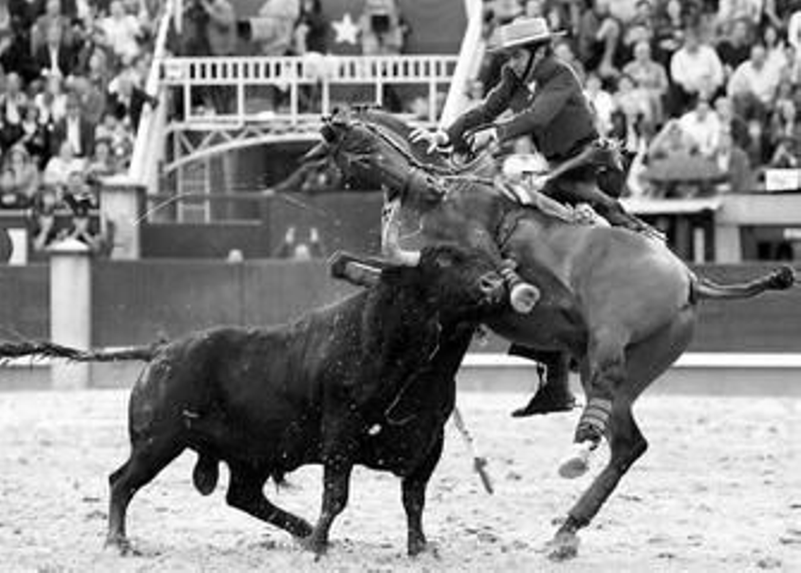 Pablo Hermoso: "El caballo dio avisos de que no estaba bien"