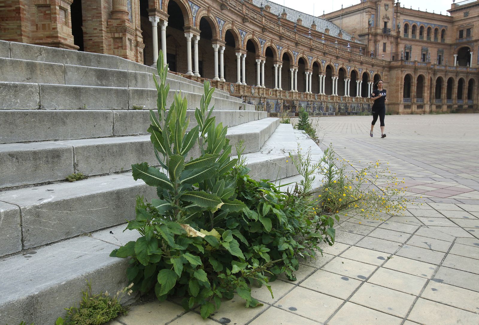 Abandono en la Plaza de España por el confinemiento