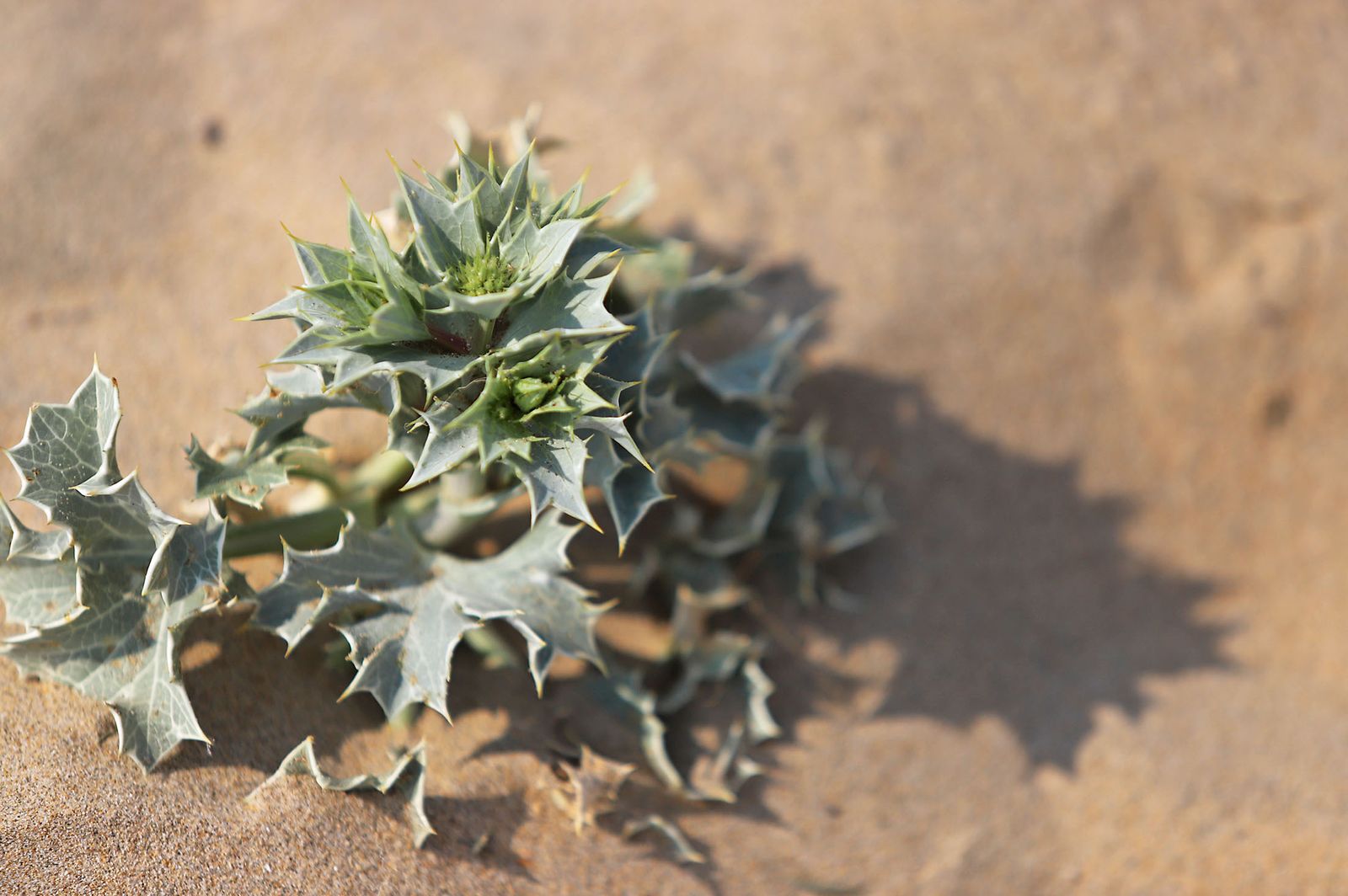 Las imágenes más destacadas del sábado 20 de mayo en Huelva