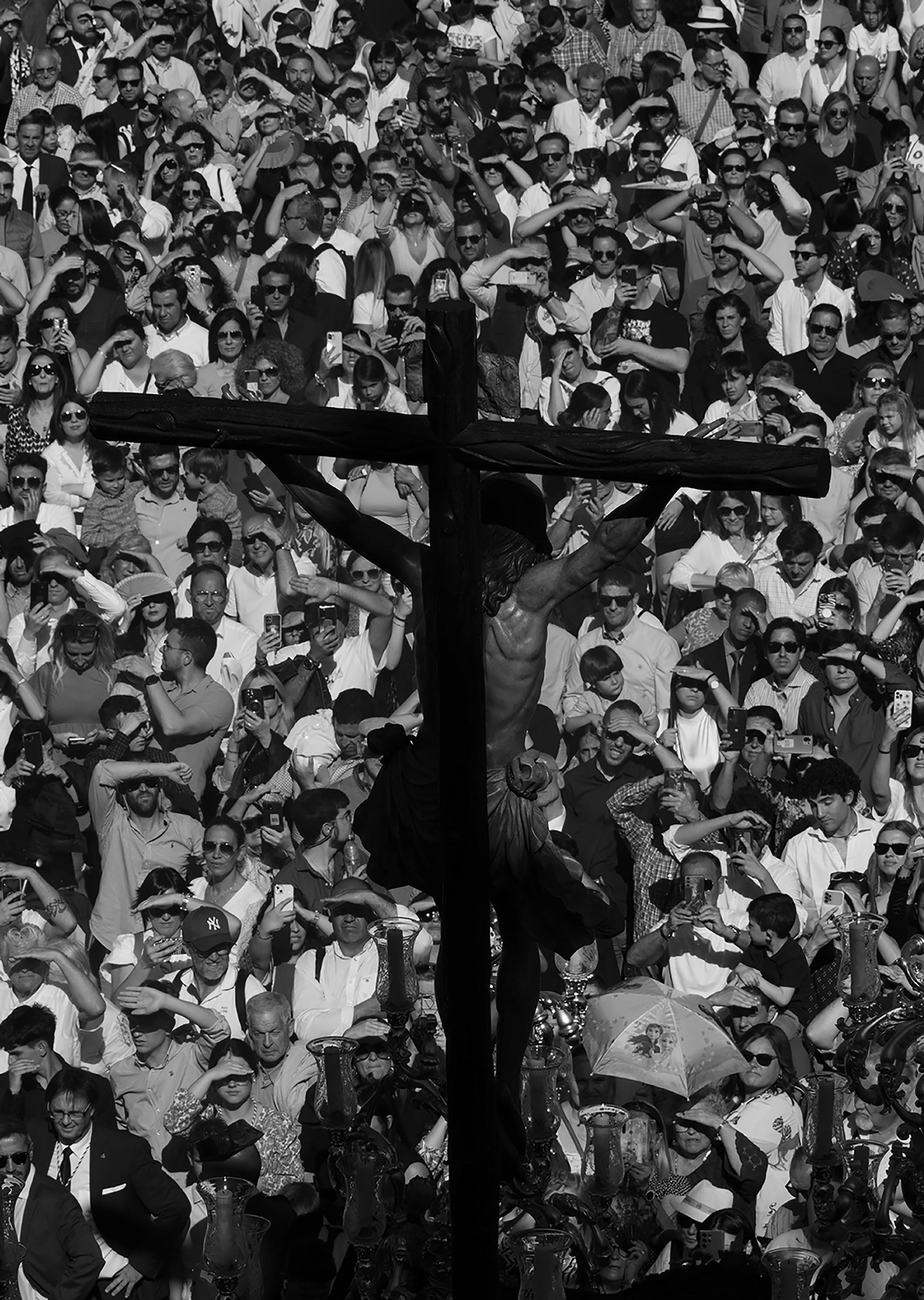 Cachorro ante el pueblo