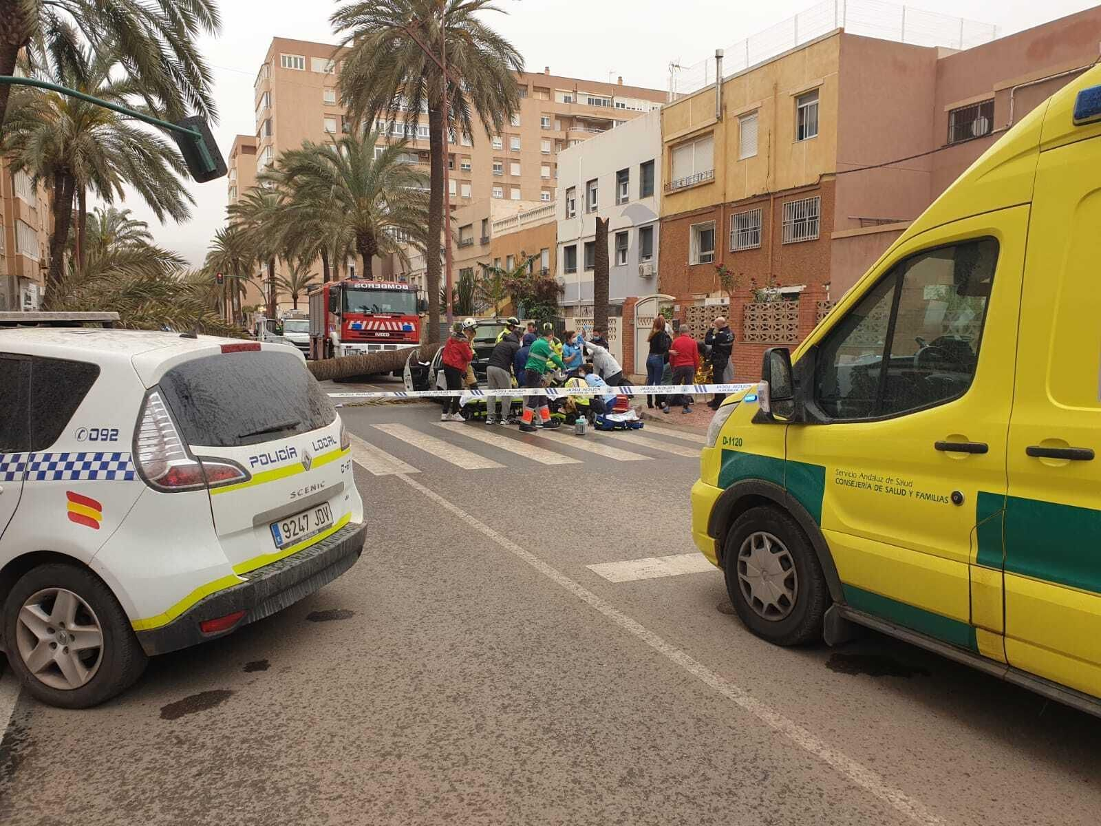 Una palmera causa un brutal accidente en Almería