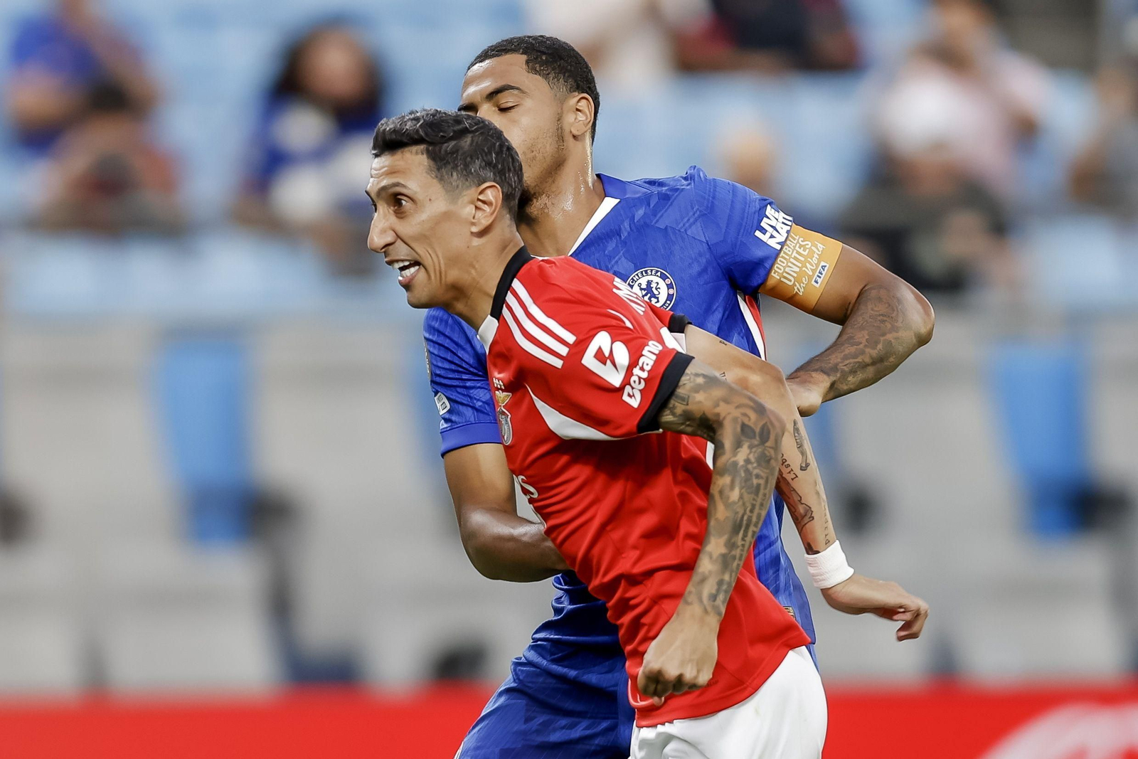 Benfica-Chelsea (24).jpg