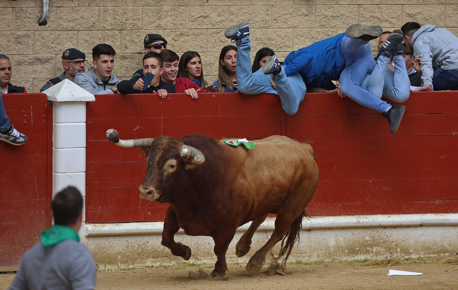 Las mejores fotos del Toro Embolao de Los Barrios 2024