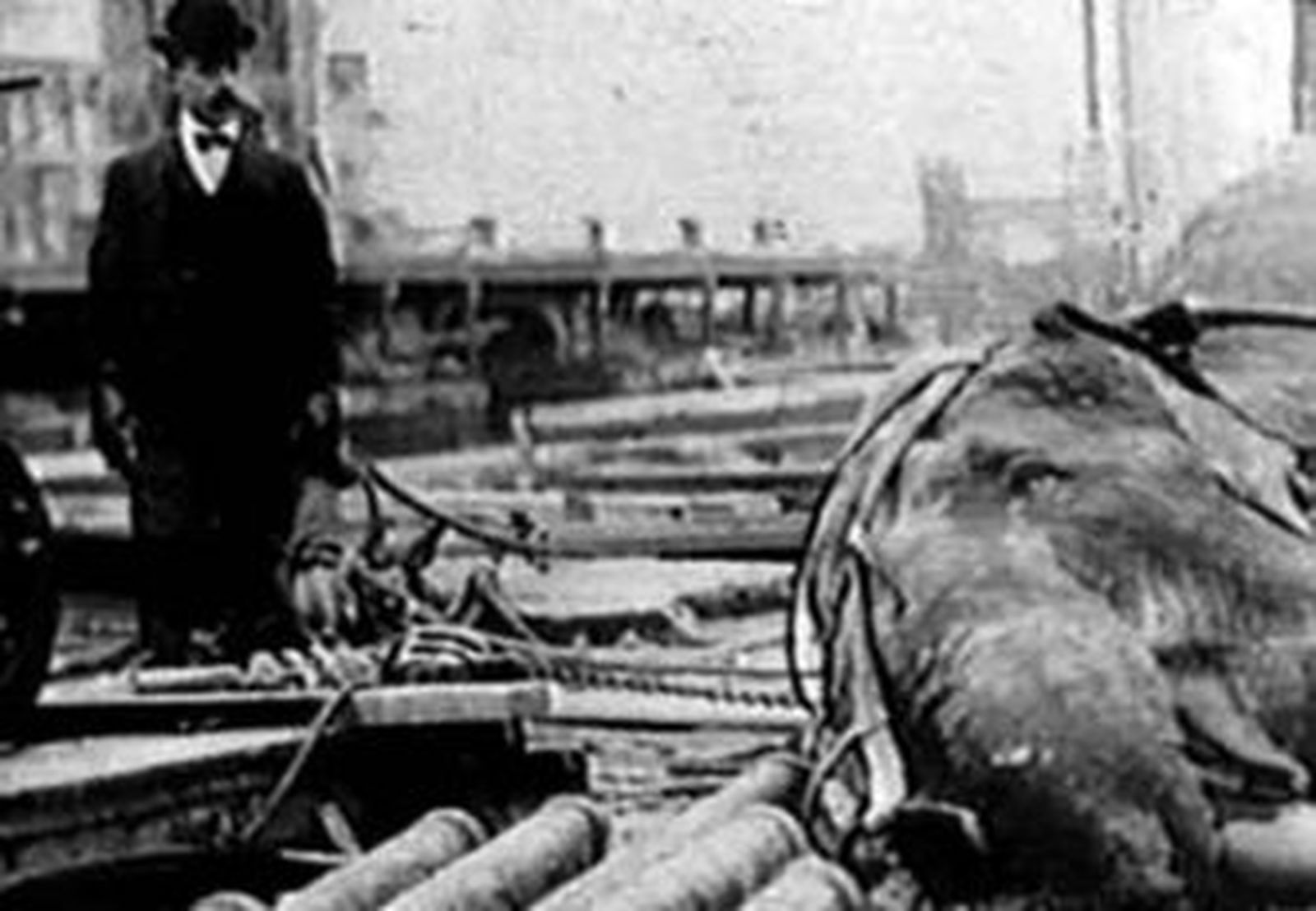 El laboratorio de Tesla.