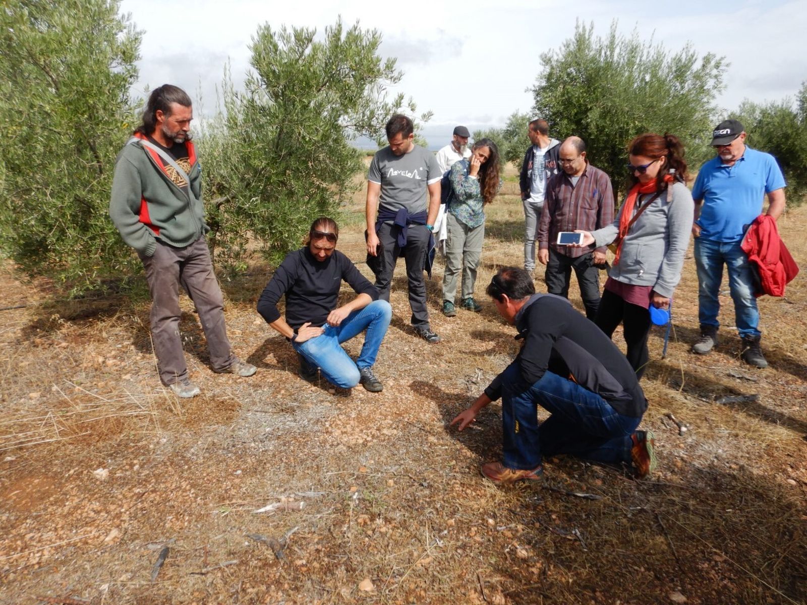 Aland y AlVelAl ponen en marcha la iniciativa por el desarrollo rural