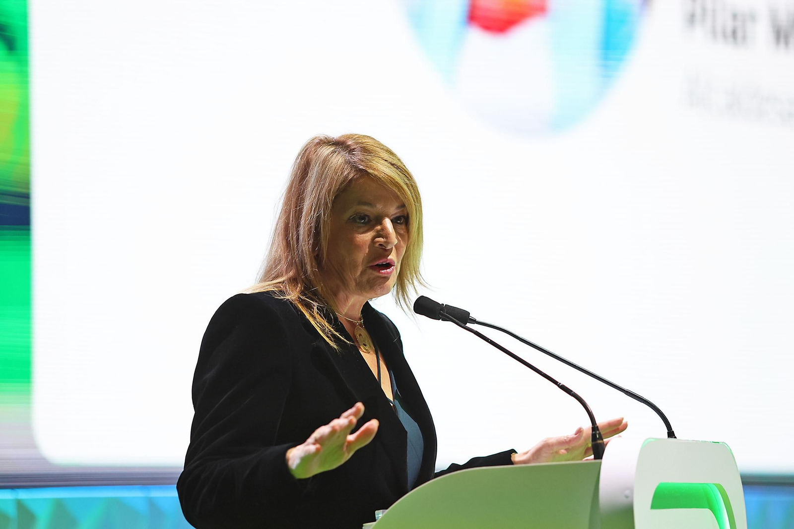 Imágenes del I Congreso Nacional de Hidrógeno Verde H2V celebrado en Huelva