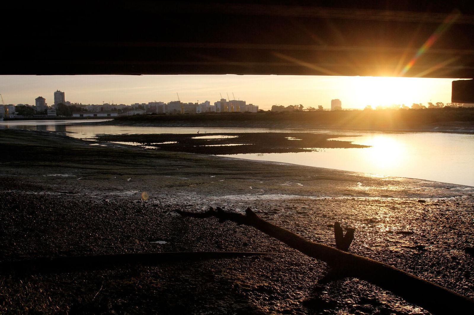 Imágenes de Marismas del Odiel, un Paraje Natural en la confluencia de las desembocaduras de los ríos Tinto y Odiel
